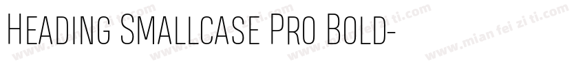 Heading Smallcase Pro Bold字体转换